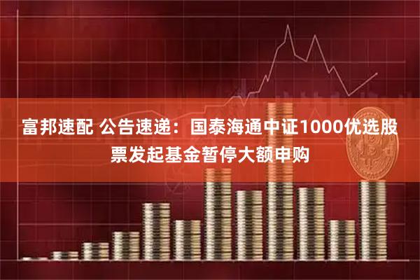 富邦速配 公告速递：国泰海通中证1000优选股票发起基金暂停大额申购