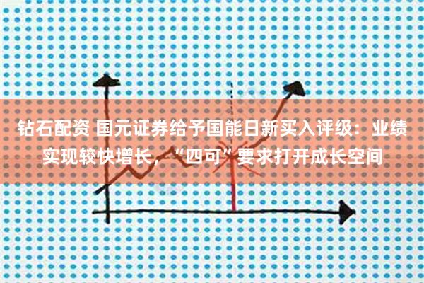 钻石配资 国元证券给予国能日新买入评级：业绩实现较快增长，“四可”要求打开成长空间