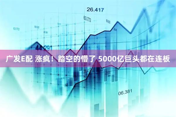 广发E配 涨疯！踏空的懵了 5000亿巨头都在连板