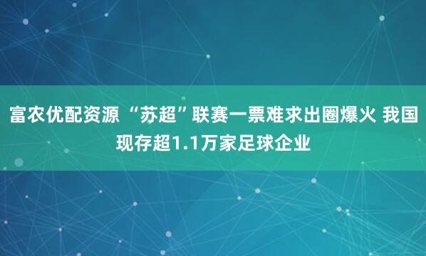 富农优配资源 “苏超”联赛一票难求出圈爆火 我国现存超1.1万家足球企业