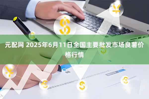 元配网 2025年6月11日全国主要批发市场良薯价格行情