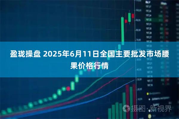 盈珑操盘 2025年6月11日全国主要批发市场腰果价格行情