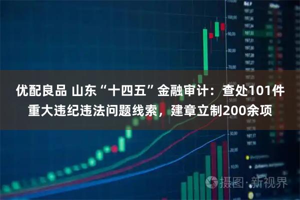 优配良品 山东“十四五”金融审计：查处101件重大违纪违法问题线索，建章立制200余项
