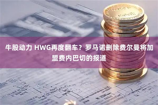 牛股动力 HWG再度翻车？罗马诺删除费尔曼将加盟费内巴切的报道