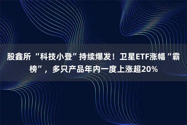 股鑫所 “科技小登”持续爆发！卫星ETF涨幅“霸榜”，多只产品年内一度上涨超20%