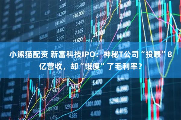 小熊猫配资 新富科技IPO：神秘T公司“投喂”8亿营收，却“饿瘦”了毛利率？